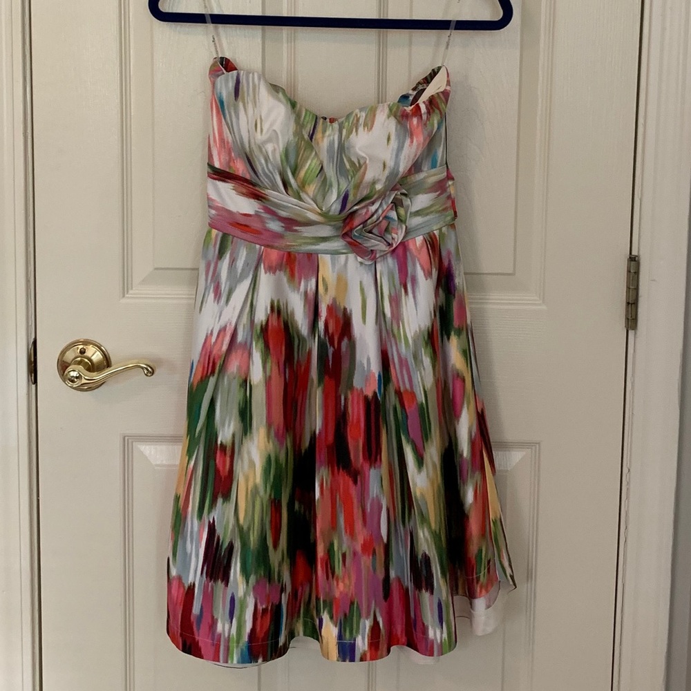 Paint Look Dress in Silk! Worn once